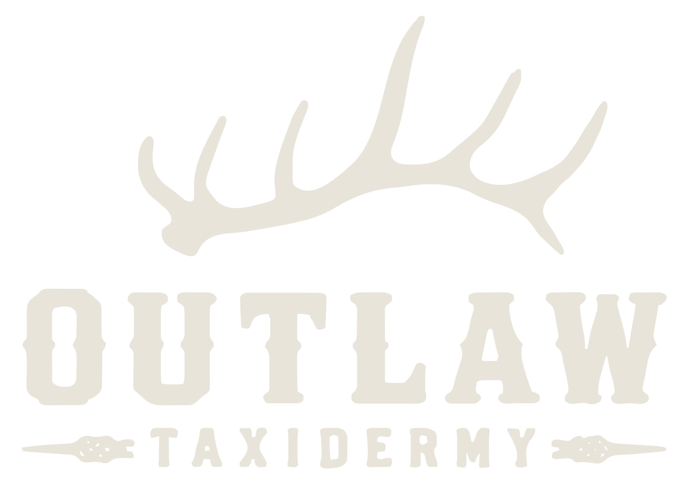 Outlaw Taxidermy